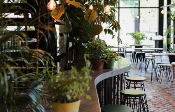 Cafe dengan sentuhan tumbuhan hijau yang alami